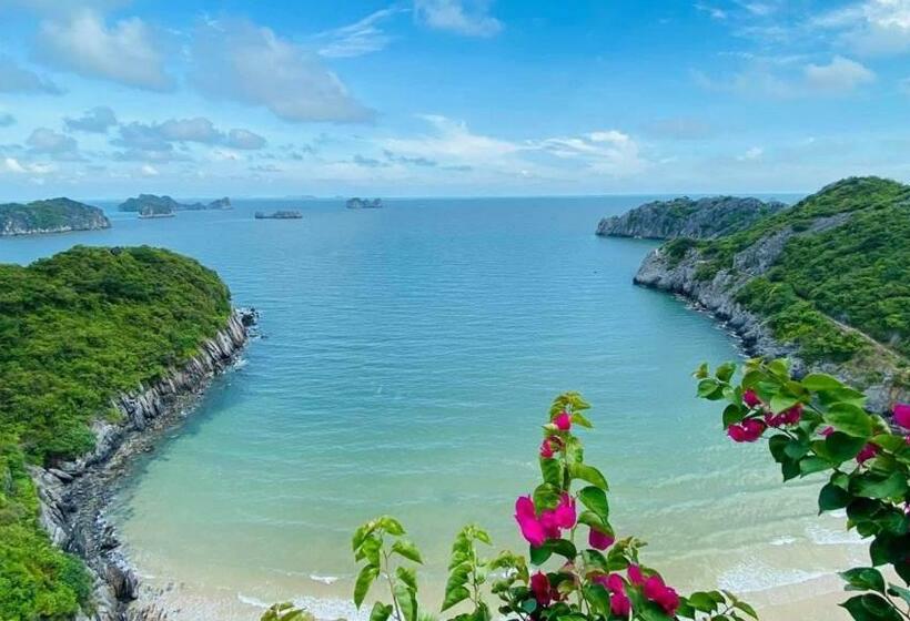 اتاق لوکس, Flamingos Cat Ba Resort Apartment