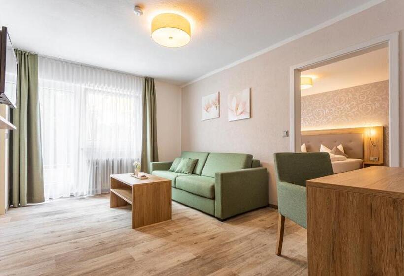 شقة غرفة واحدة مطلة على الحديقة, Schönenberger Hof