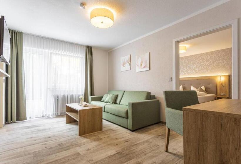 شقة غرفة واحدة مطلة على الحديقة, Schönenberger Hof