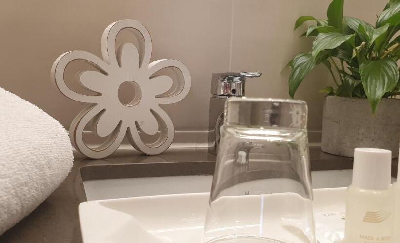 شقة غرفة واحدة, Schönenberger Hof