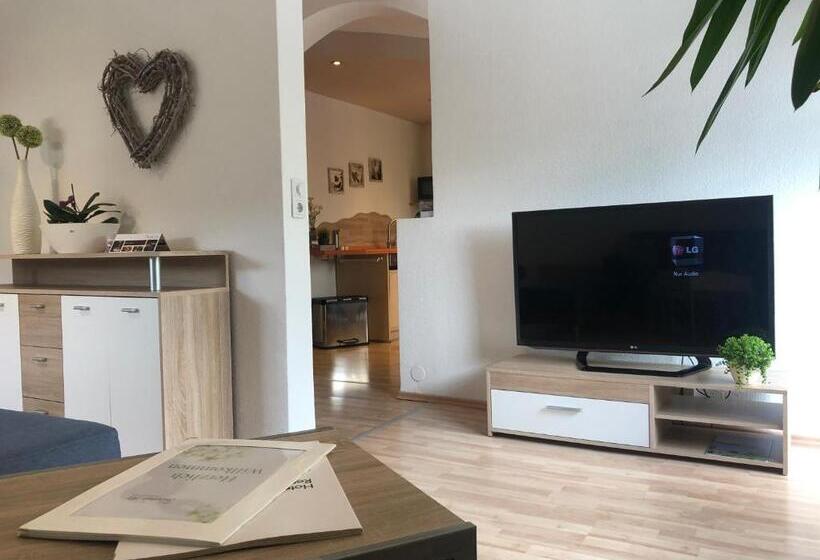 شقة غرفة واحدة, Schönenberger Hof