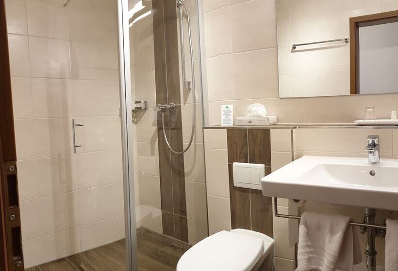 غرفة قياسية فردية, Schönenberger Hof