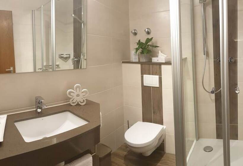 غرفة قياسية, Schönenberger Hof