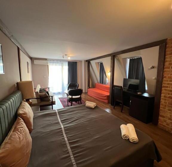 Standard studio with lake view, Villa Dionis