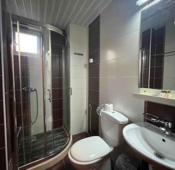 اتاق استاندارد سه تخته با بالکن, Villa Dionis