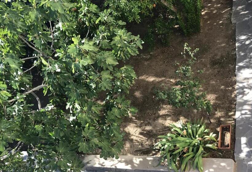 اتاق سوپریور با چشمانداز شهر, Guest House Eden