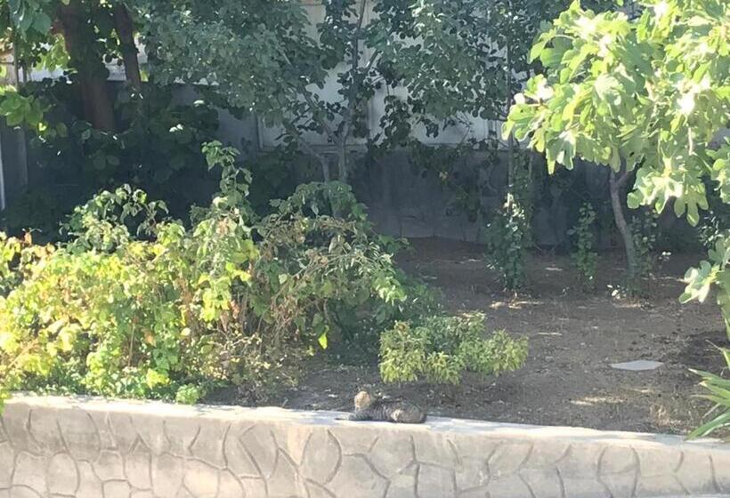 اتاق سوپریور با چشمانداز شهر, Guest House Eden