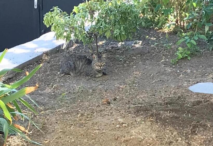 اتاق استاندارد با چشمانداز باغ, Guest House Eden