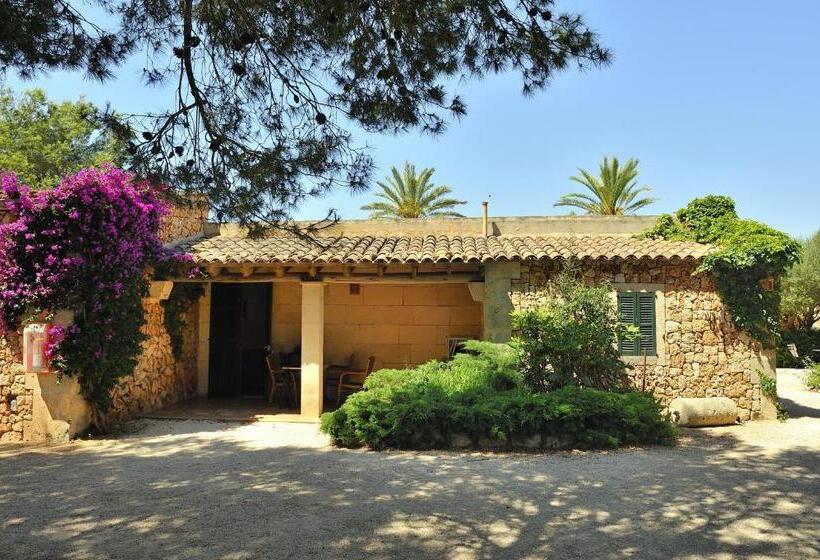 דירת שני חדרים, Petit Hotel Es Figueral