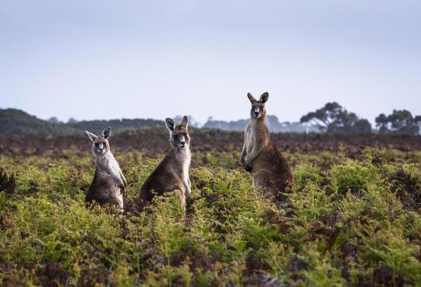 标准间, Cradle Gateway Chalets