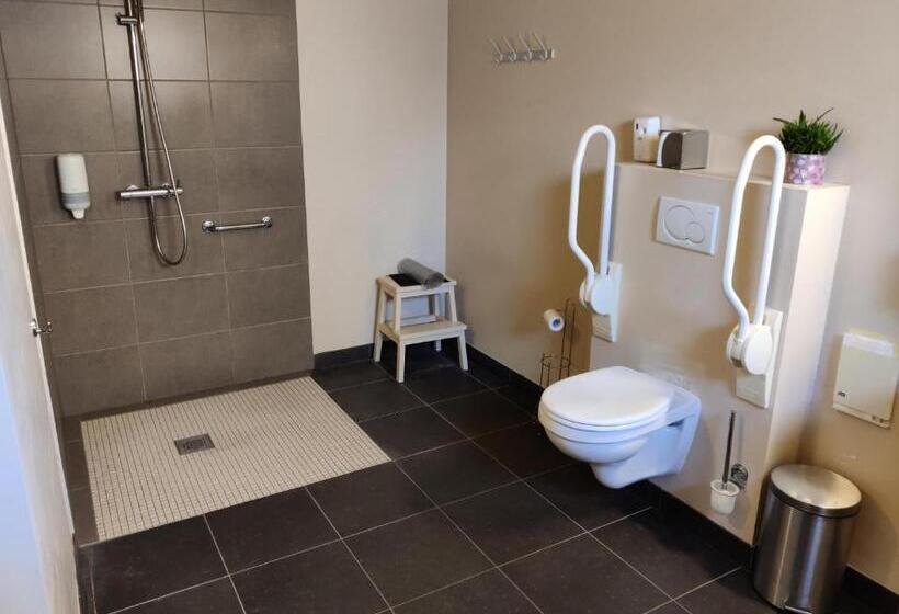 اتاق سوپریور سه تخته, Flandrien