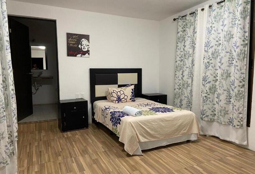 Standard Szoba, Miriam Bacalar