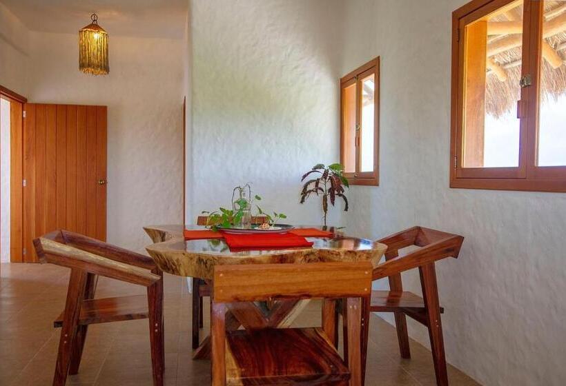 اتاق خانوادگی, Lunada Holbox