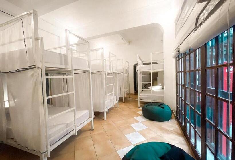 تختخواب در اتاق مشترک, Lost & Found   Colombo