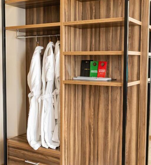 استودیو استاندارد با تخت کینگ, Resident Bishkek