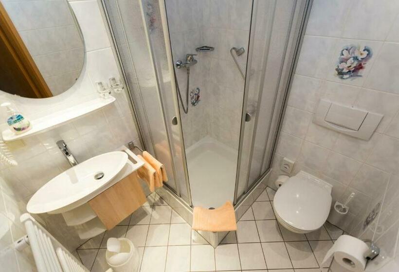 Номер Стандарт Вид на Озеро, Und Restaurant Karpfenschänke