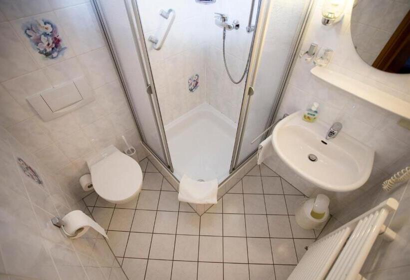 Номер Стандарт с Балконом, Und Restaurant Karpfenschänke