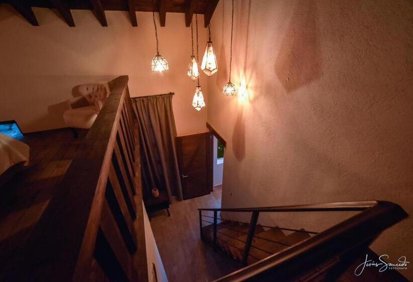 جناح دوبلكس, Suites Campestres Montebello