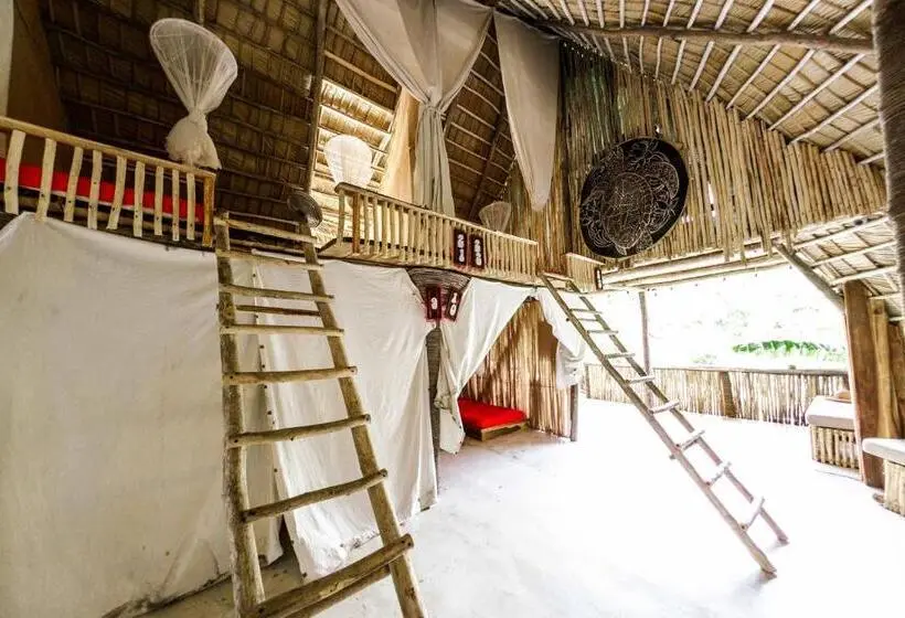 تختخواب در اتاق مشترک, Ganesh Hostel & Shivas Bungalows