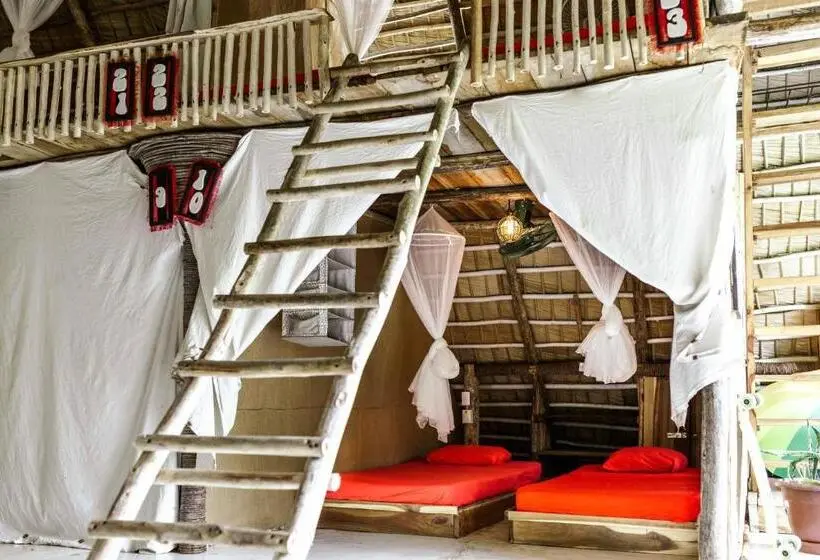 اتاق اکونومی, Ganesh Hostel & Shivas Bungalows