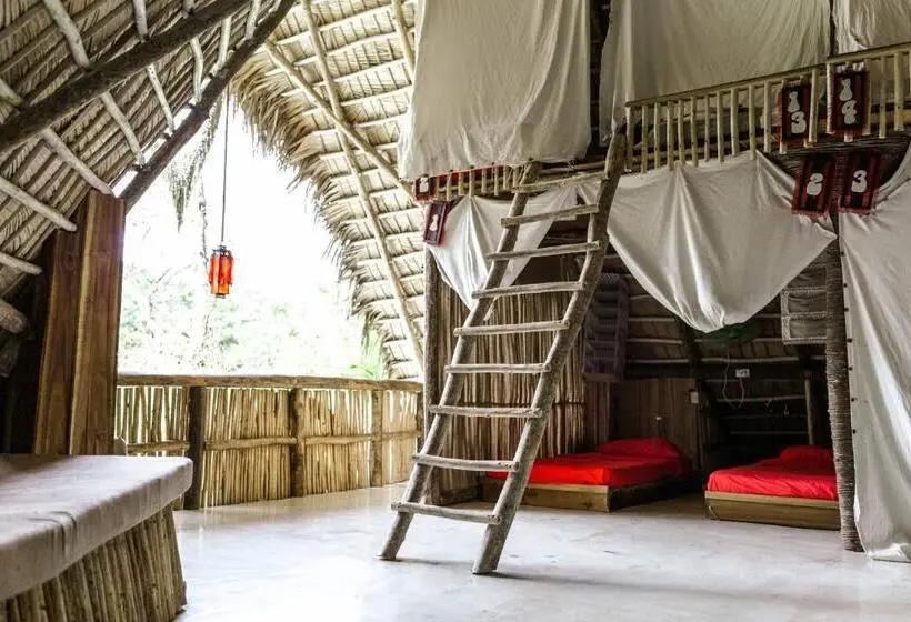 اتاق اکونومی, Ganesh Hostel & Shivas Bungalows