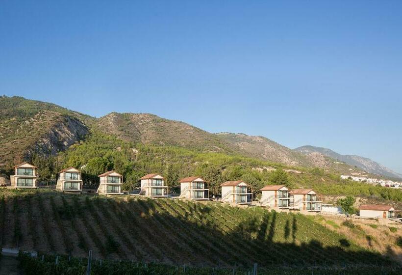 غرفة قياسية مطلّة علي البحر, Gillham Vineyard