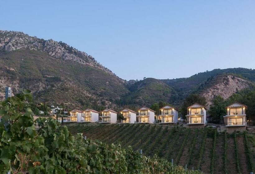 带海景的标准房, Gillham Vineyard