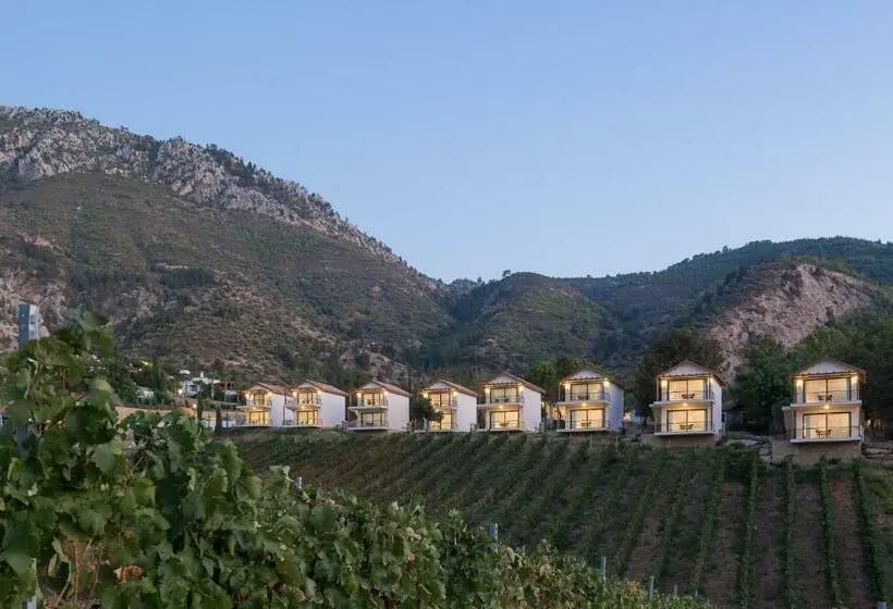 オーシャンビュースタンダードルーム, Gillham Vineyard
