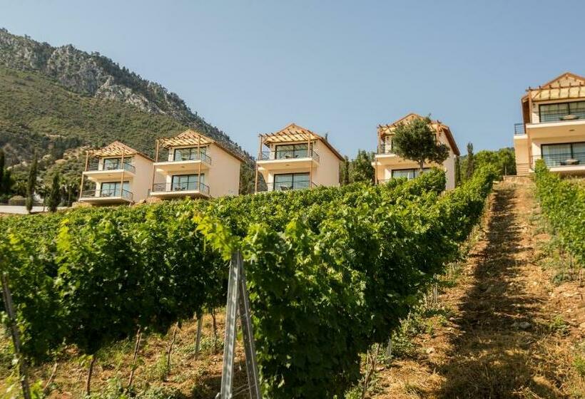 غرفة قياسية مطلّة علي البحر, Gillham Vineyard