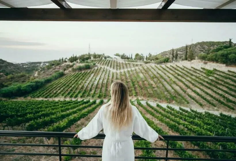 オーシャンビュースタンダードルーム, Gillham Vineyard