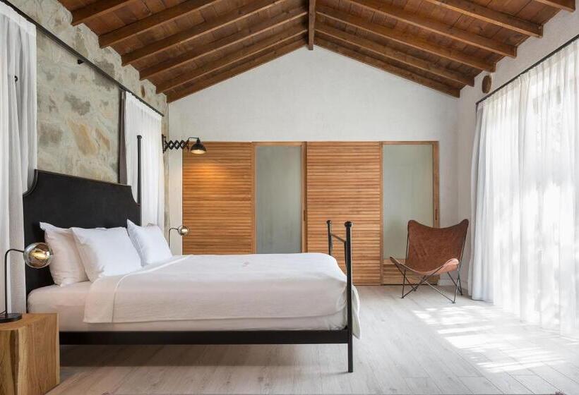 جناح جونيور مزوَّد بشرفة, Gillham Vineyard