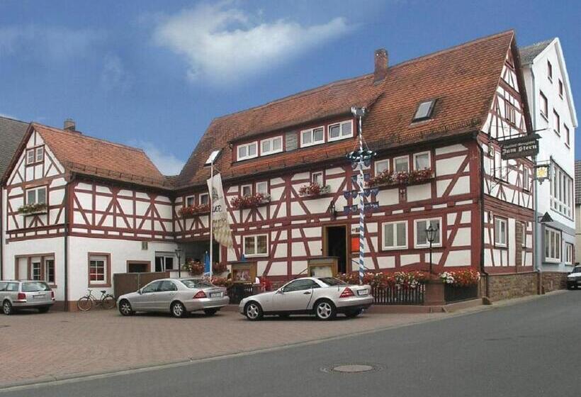 Номер Стандарт Трехместный, Gasthof Landhotel Metzgerei Zum Stern
