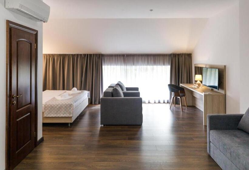 اتاق سوپریور, Antonio