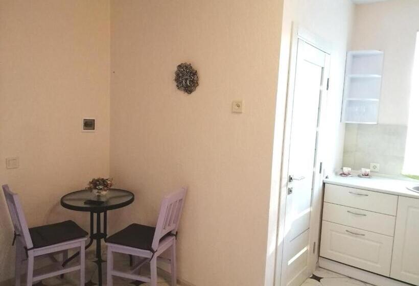 استودیوی استاندارد, гостьовий будинок осокорки