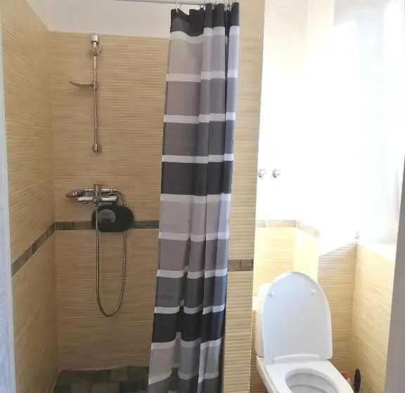 Standard-studio, гостьовий будинок осокорки