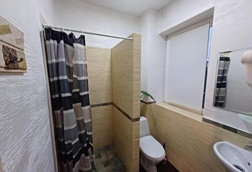 استودیوی استاندارد, гостьовий будинок осокорки