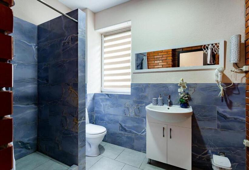 استودیوی استاندارد, гостьовий будинок осокорки