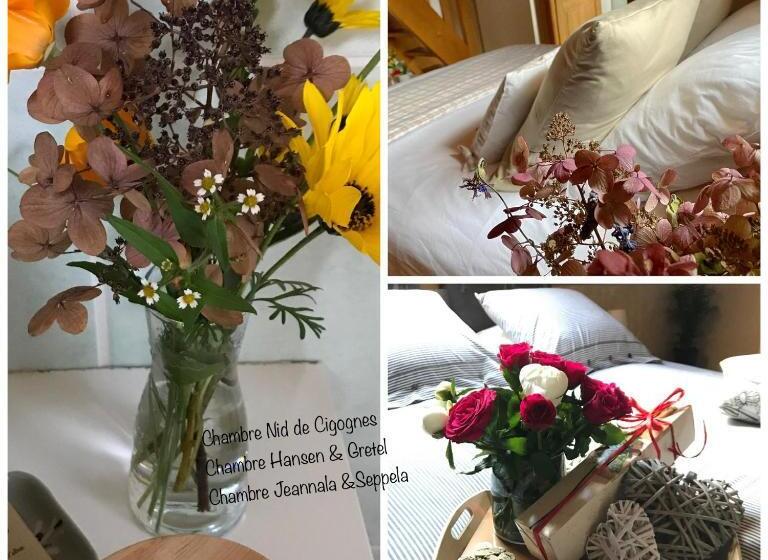 标准间, Le Nid De Cigognes