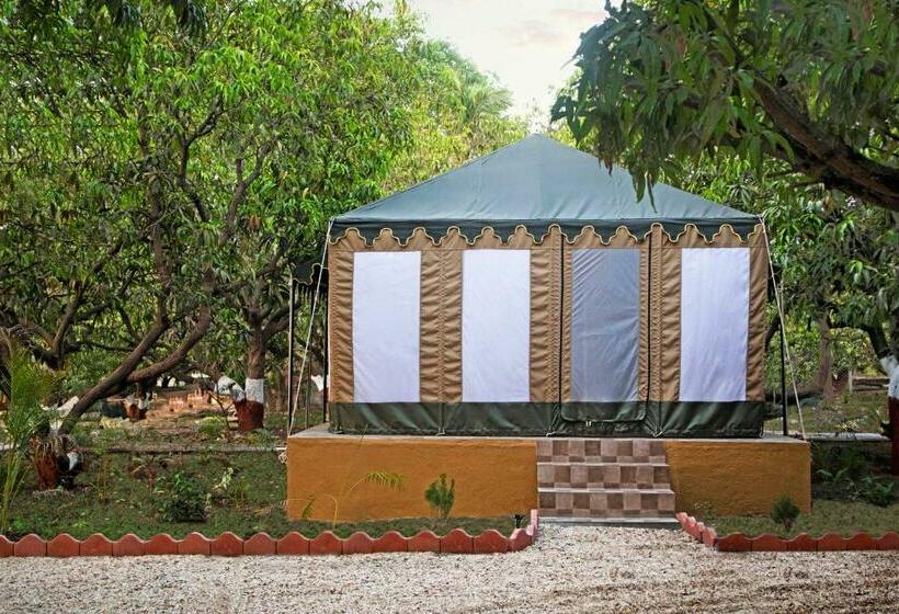 Standard Tent, Gir Lion Safari Camp By Trulyy, Sasan Gir