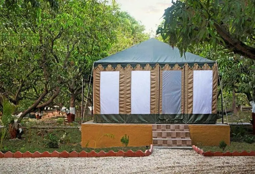 Standard Tent, Gir Lion Safari Camp By Trulyy, Sasan Gir