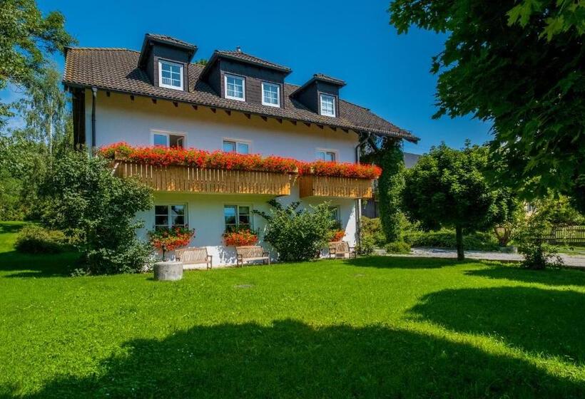 اتاق استاندارد یک نفره, Gasthof Pension Walther