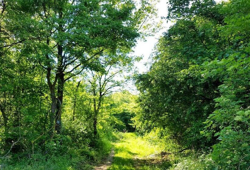 غرفة عائلية حمام مشترك, Kúti Vendégház