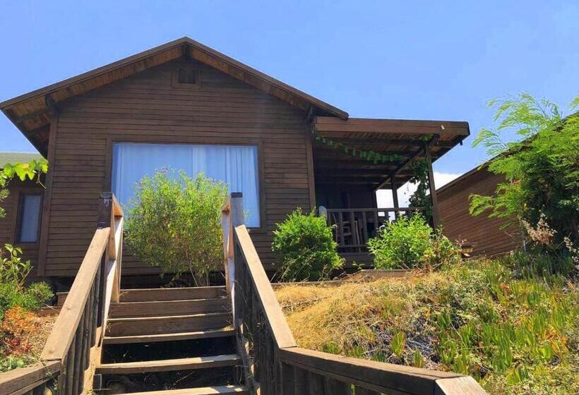 בקתה סטנדרטית, Zambak Holiday Village