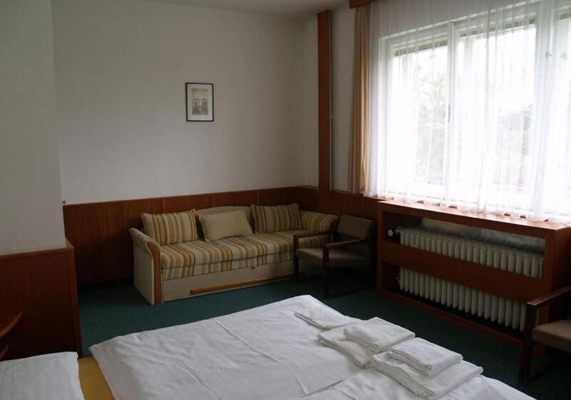 스탠다드 룸, Pension Pod šibeňákem