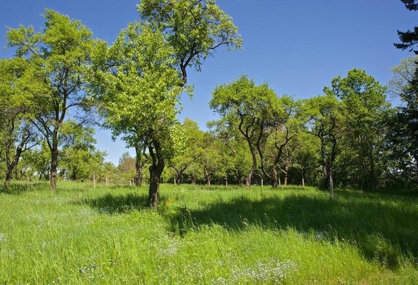 Номер Стандарт Вид на Сад, Zámek Ratměřice Hotel & Resort