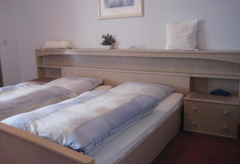 غرفة كومفورت, Zenner S Land