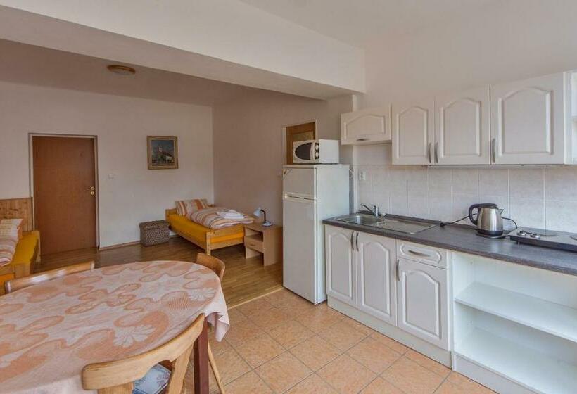 Студия Стандарт, Penzion šalamoun