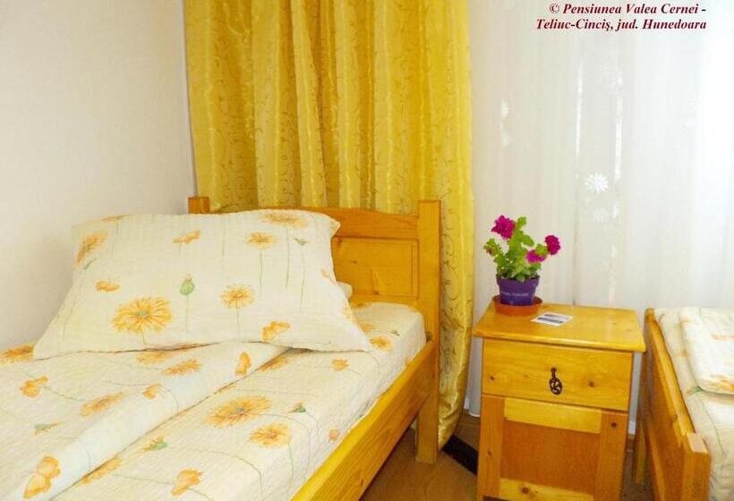 Номер Стандарт Совместная Ванная, Pensiunea Valea Cernei