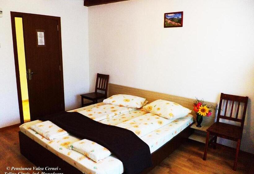 Номер Стандарт Трехместный, Pensiunea Valea Cernei