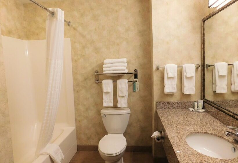 جناح لذوى الاحتياجات الخاصة, Comfort Inn & Suites